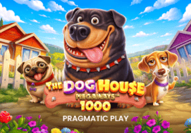 Dog House Megaways